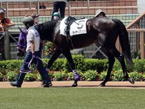 ����å��ǳ��������ɽ�����ޤ�