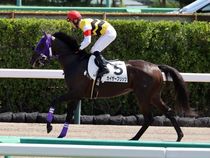 ����å��ǳ��������ɽ�����ޤ�