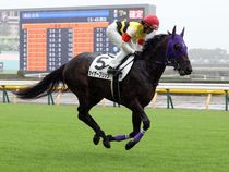 ����å��ǳ��������ɽ�����ޤ�