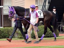 ����å��ǳ��������ɽ�����ޤ�