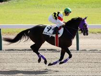 ����å��ǳ��������ɽ�����ޤ�