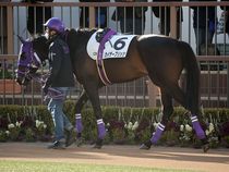 ����å��ǳ��������ɽ�����ޤ�