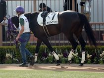 ����å��ǳ��������ɽ�����ޤ�