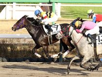 ����å��ǳ��������ɽ�����ޤ�