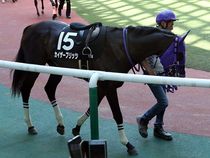 ����å��ǳ��������ɽ�����ޤ�