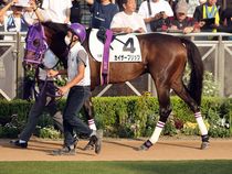 ����å��ǳ��������ɽ�����ޤ�