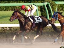 ����å��ǳ��������ɽ�����ޤ�