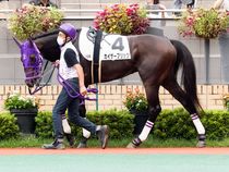 ����å��ǳ��������ɽ�����ޤ�