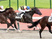 ����å��ǳ��������ɽ�����ޤ�