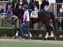 ����å��ǳ��������ɽ�����ޤ�