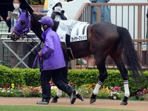 ����å��ǳ��������ɽ�����ޤ�