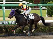 ����å��ǳ��������ɽ�����ޤ�