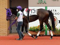 ����å��ǳ��������ɽ�����ޤ�