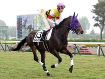 ����å��ǳ��������ɽ�����ޤ�