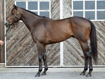 ����å��ǳ��������ɽ�����ޤ�