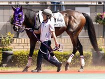 ����å��ǳ��������ɽ�����ޤ�