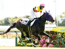 ����å��ǳ��������ɽ�����ޤ�