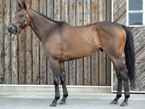 ����å��ǳ��������ɽ�����ޤ�