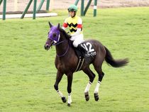 ����å��ǳ��������ɽ�����ޤ�