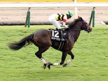 ����å��ǳ��������ɽ�����ޤ�