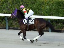 ����å��ǳ��������ɽ�����ޤ�