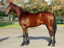 ����å��ǳ��������ɽ�����ޤ�