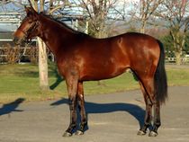 ����å��ǳ��������ɽ�����ޤ�