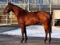 ����å��ǳ��������ɽ�����ޤ�