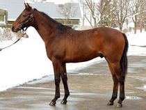 ����å��ǳ��������ɽ�����ޤ�