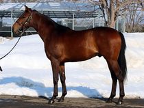 ����å��ǳ��������ɽ�����ޤ�