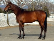 ����å��ǳ��������ɽ�����ޤ�