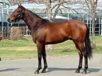 ����å��ǳ��������ɽ�����ޤ�