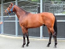 ����å��ǳ��������ɽ�����ޤ�