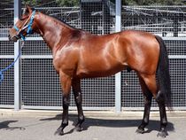 ����å��ǳ��������ɽ�����ޤ�