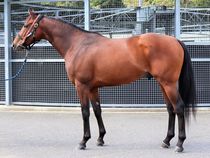 ����å��ǳ��������ɽ�����ޤ�