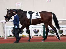 ����å��ǳ��������ɽ�����ޤ�