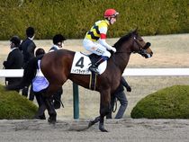 ����å��ǳ��������ɽ�����ޤ�