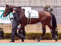 ����å��ǳ��������ɽ�����ޤ�