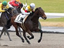 ����å��ǳ��������ɽ�����ޤ�