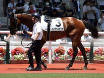 ����å��ǳ��������ɽ�����ޤ�