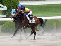 ����å��ǳ��������ɽ�����ޤ�