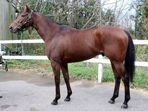 ����å��ǳ��������ɽ�����ޤ�