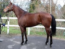 ����å��ǳ��������ɽ�����ޤ�