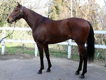 ����å��ǳ��������ɽ�����ޤ�