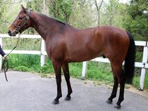 ����å��ǳ��������ɽ�����ޤ�