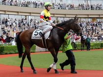 ����å��ǳ��������ɽ�����ޤ�