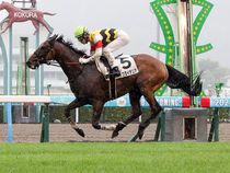 ����å��ǳ��������ɽ�����ޤ�