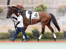 ����å��ǳ��������ɽ�����ޤ�