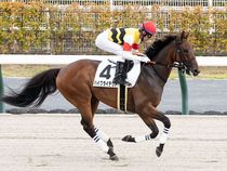 ����å��ǳ��������ɽ�����ޤ�