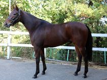 ����å��ǳ��������ɽ�����ޤ�